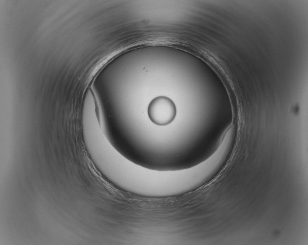 X0000116061481200912111516