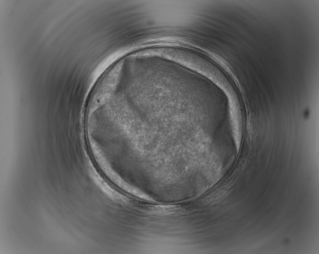 X0000116061482200912111516