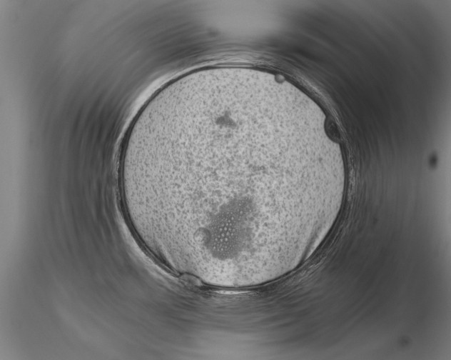 X0000116061483200912111516