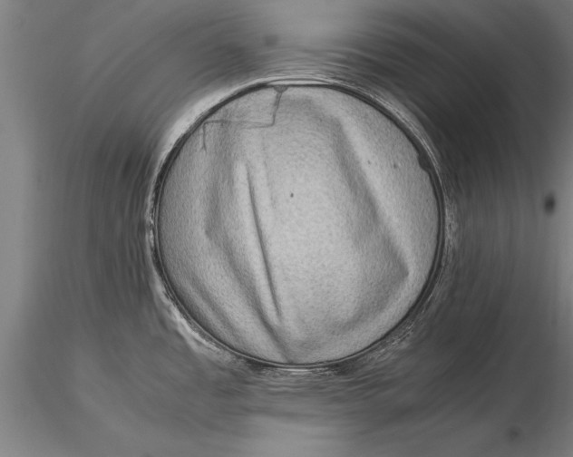 X0000116061485200912111516