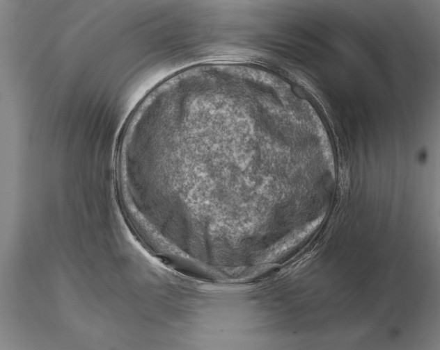 X0000116061487200912111516