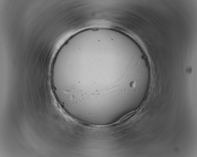 X0000116061488200912111516