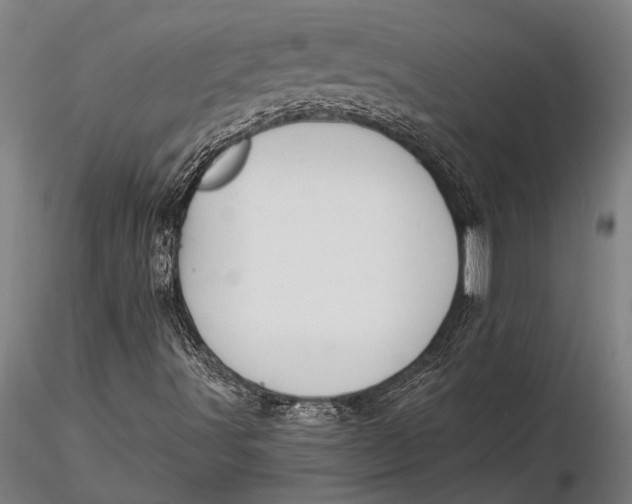 X0000116061491200912111515