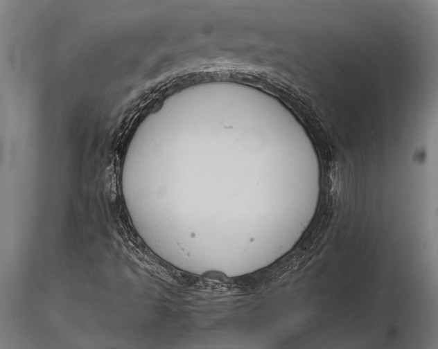 X0000116061493200912111515