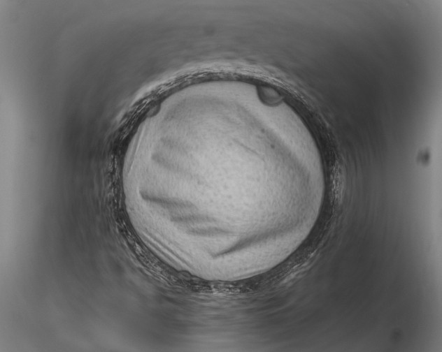 X0000116061494200912111515