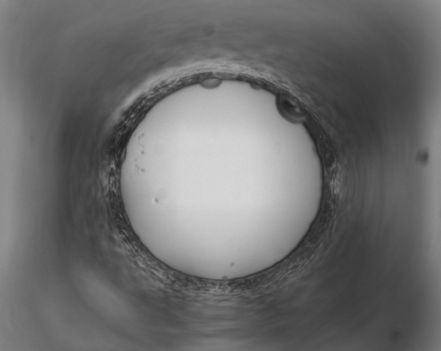 X0000116061495200912111515