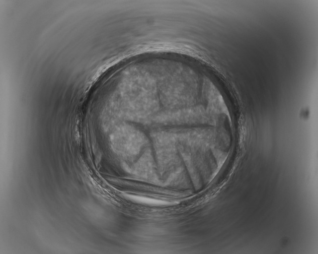 X0000116061497200912111515