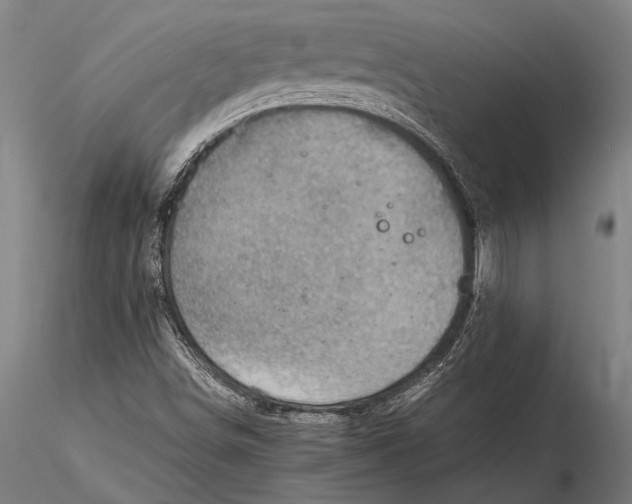 X0000116061498200912111515