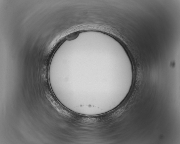 X0000116061499200912111515