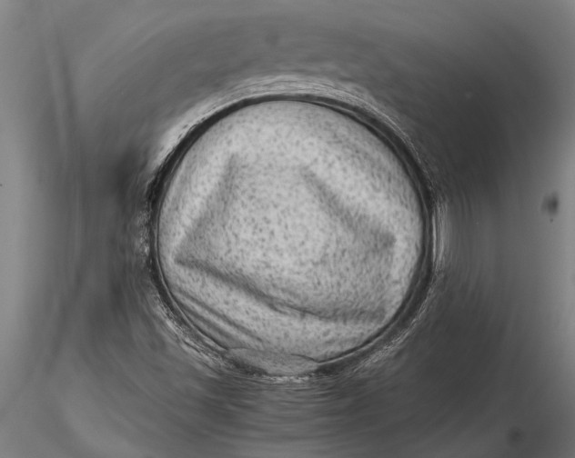 X0000116061501200912111515