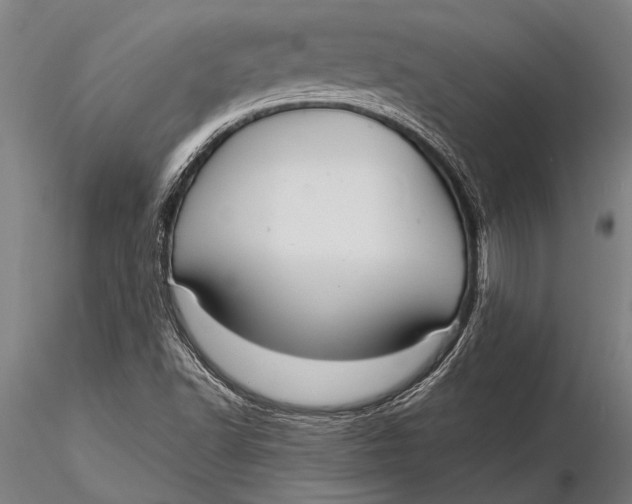 X0000116061502200912111515