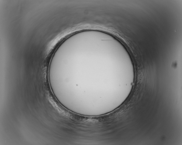 X0000116061503200912111515