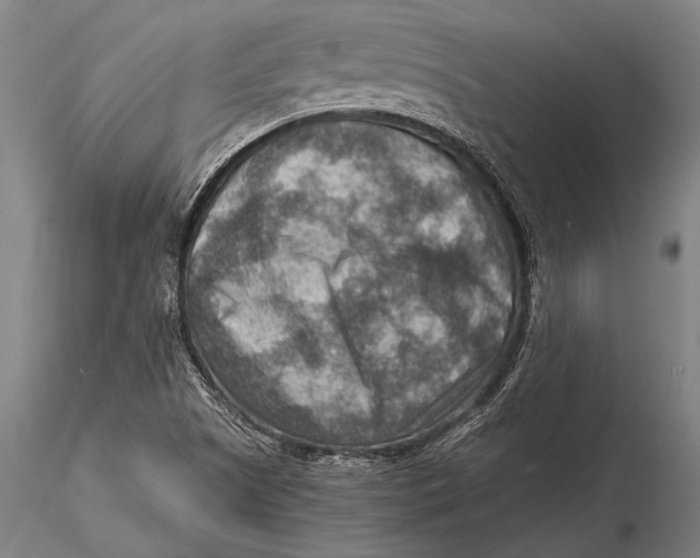 X0000116061505200912111515