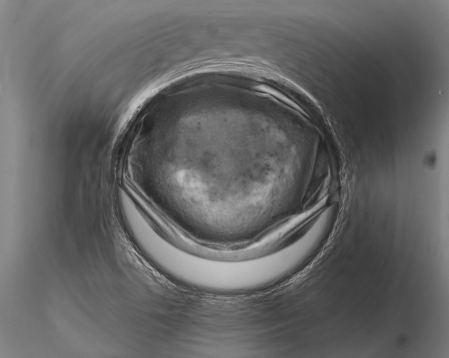 X0000116061506200912111515