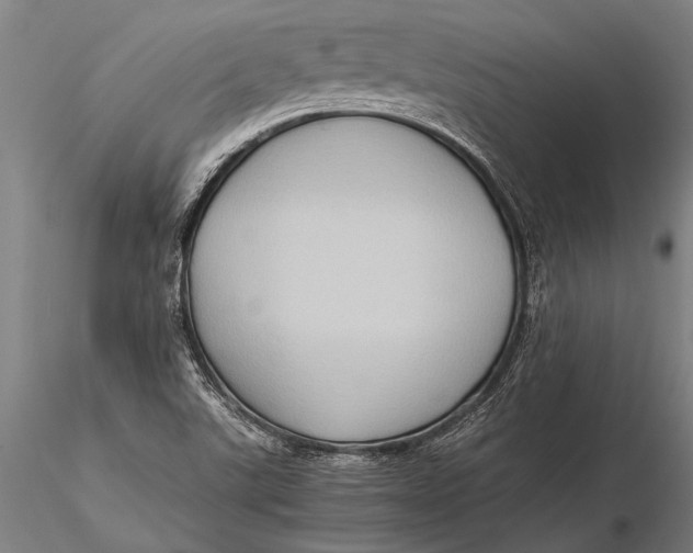 X0000116061507200912111515