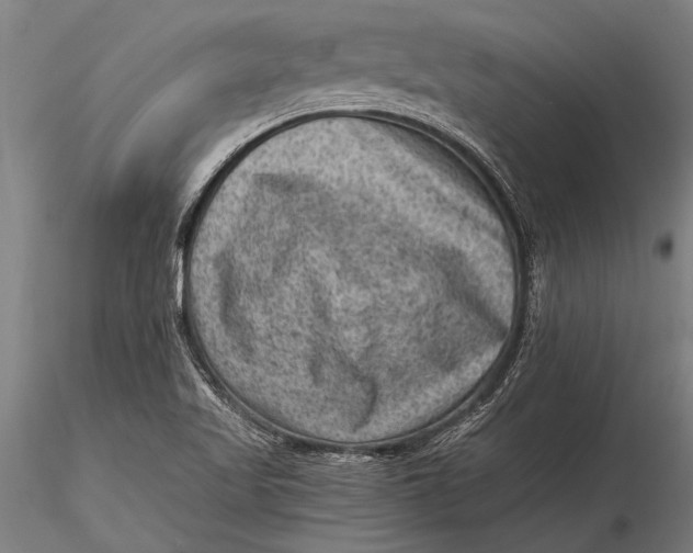 X0000116061509200912111515