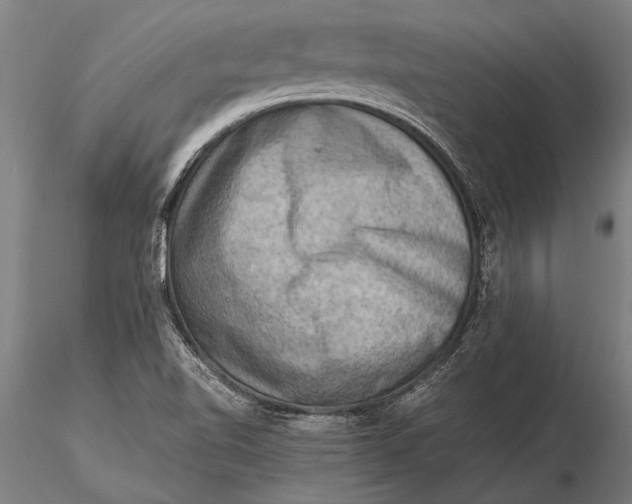 X0000116061510200912111515