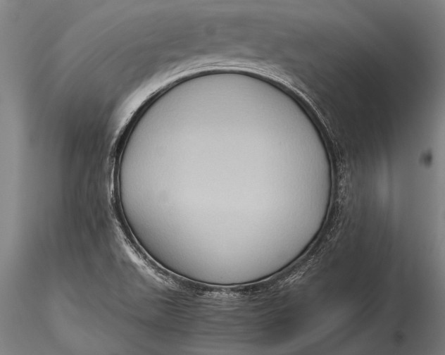 X0000116061511200912111515