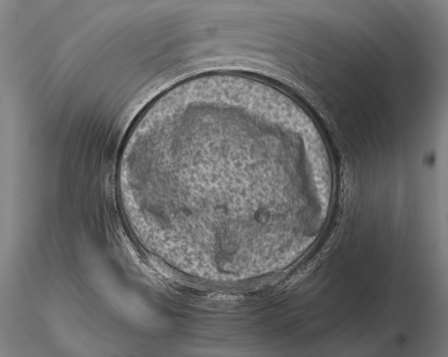 X0000116061513200912111515