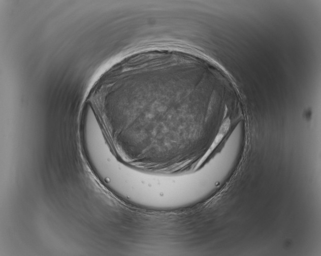 X0000116061514200912111515