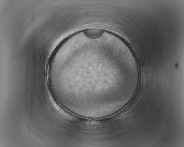 X0000116061515200912111515