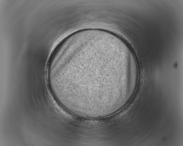 X0000116061517200912111515