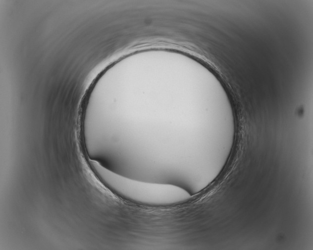 X0000116061518200912111515