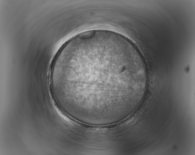 X0000116061519200912111515