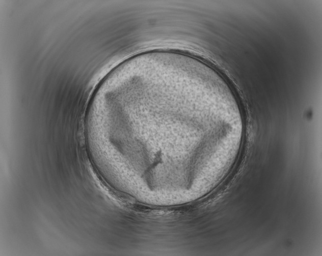 X0000116061521200912111515