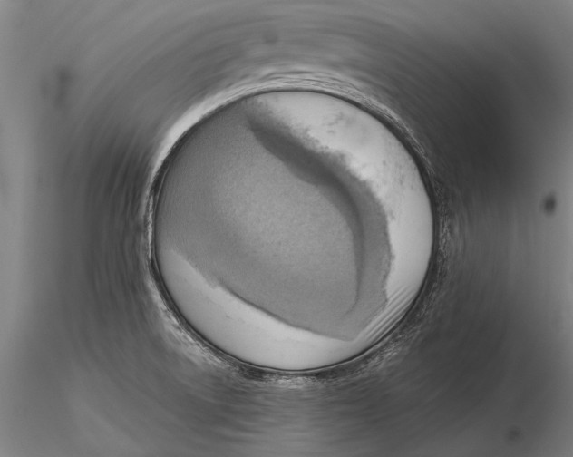 X0000116061522200912111515