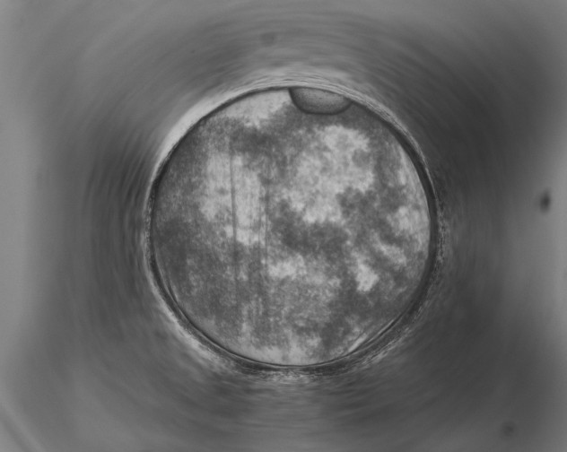 X0000116061525200912111515