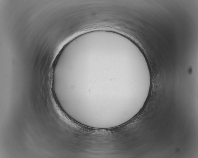 X0000116061526200912111516