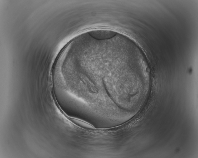 X0000116061527200912111516