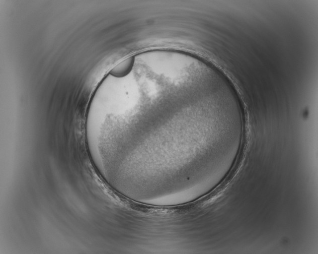 X0000116061529200912111516