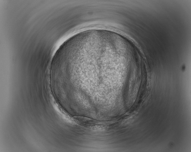 X0000116061530200912111516