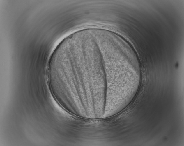 X0000116061531200912111516