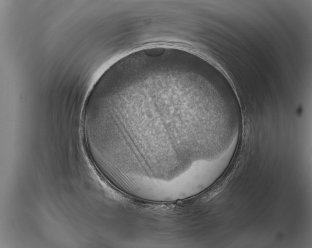 X0000116061533200912111516