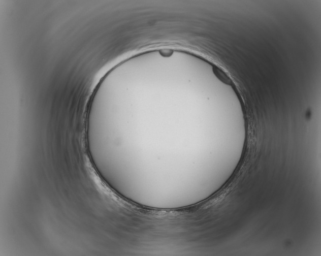 X0000116061534200912111516