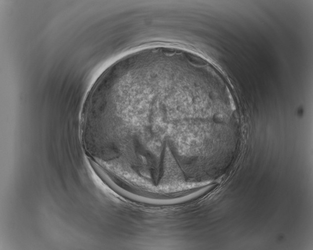 X0000116061535200912111516