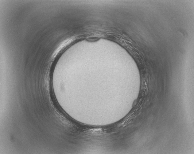 X0000116060054200912181321