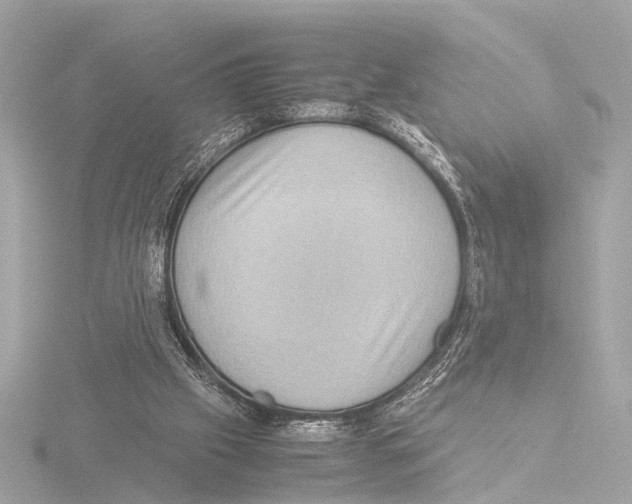 X0000116060057200912181321