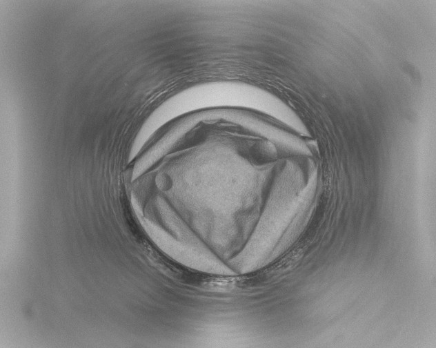 X0000116060084200912181321