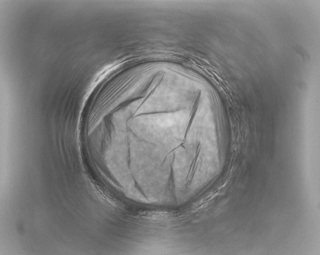 X0000116060104200912181321