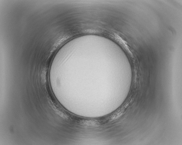 X0000116060106200912181321