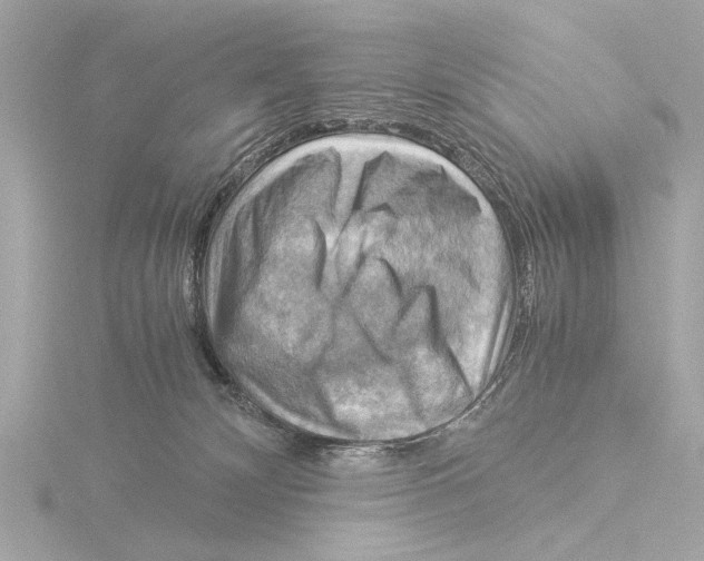 X0000116060132200912181320