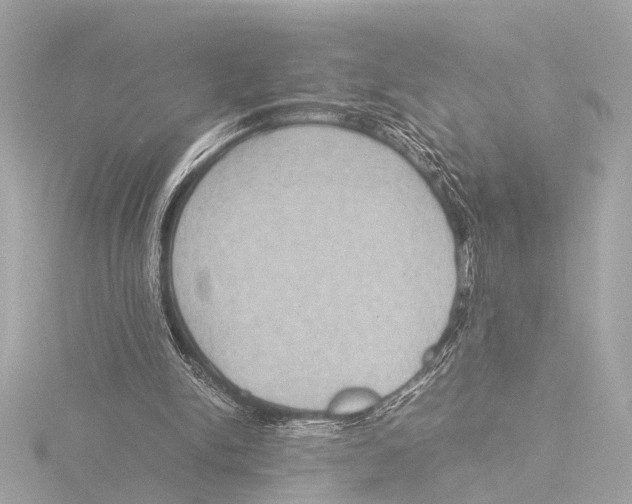 X0000116060150200912181320