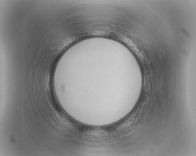 X0000116060201200912181320