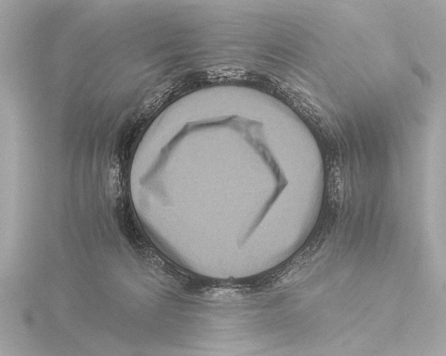 X0000116060224200912181319