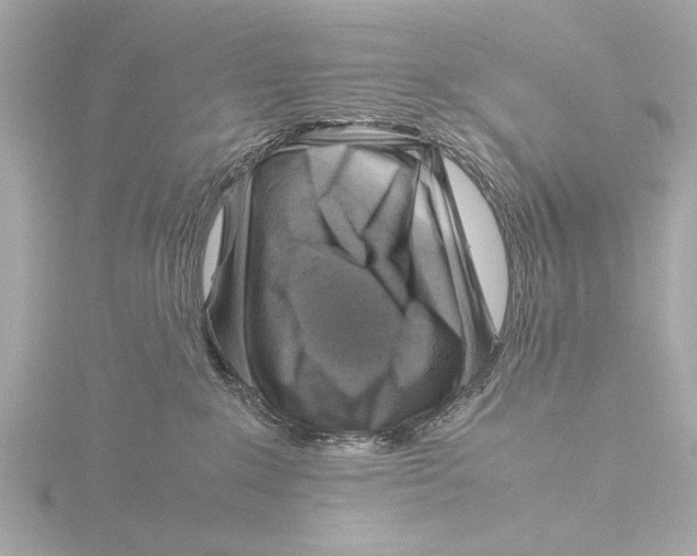 X0000116060235200912181319