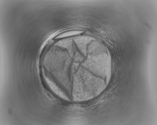 X0000116060244200912181318